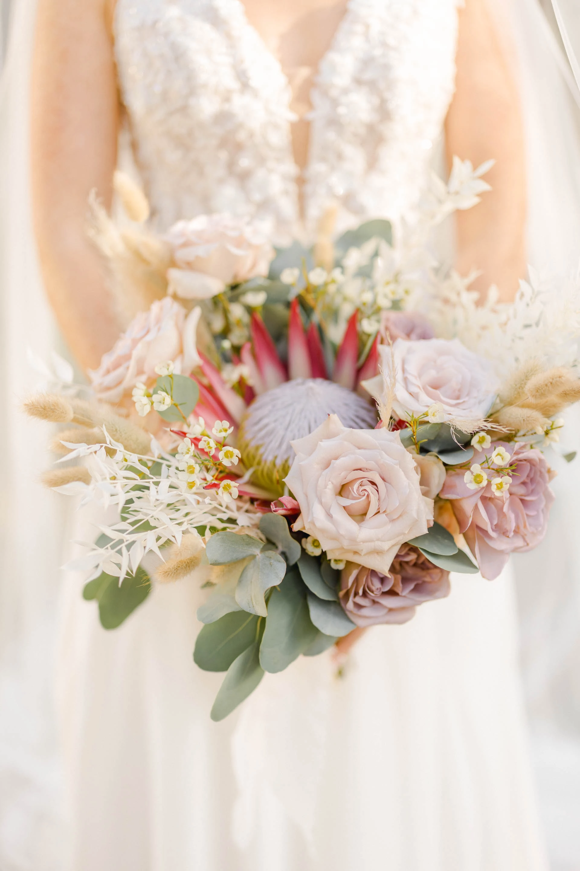 fleur pétale composition florale rose rosiers de jardin